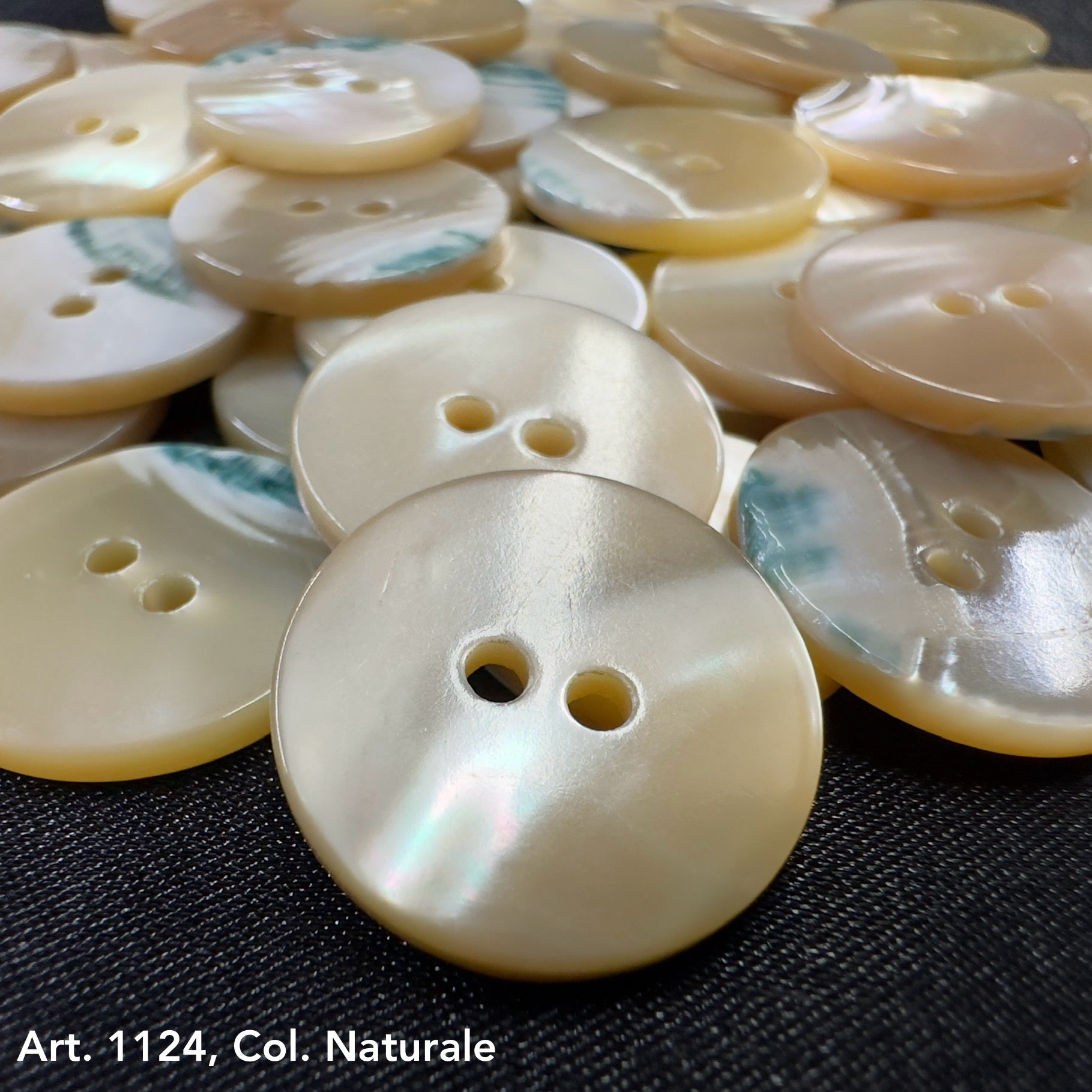 Round natural shell buttons with two holes perfect for DIY shell button projects by Buttonology Inc