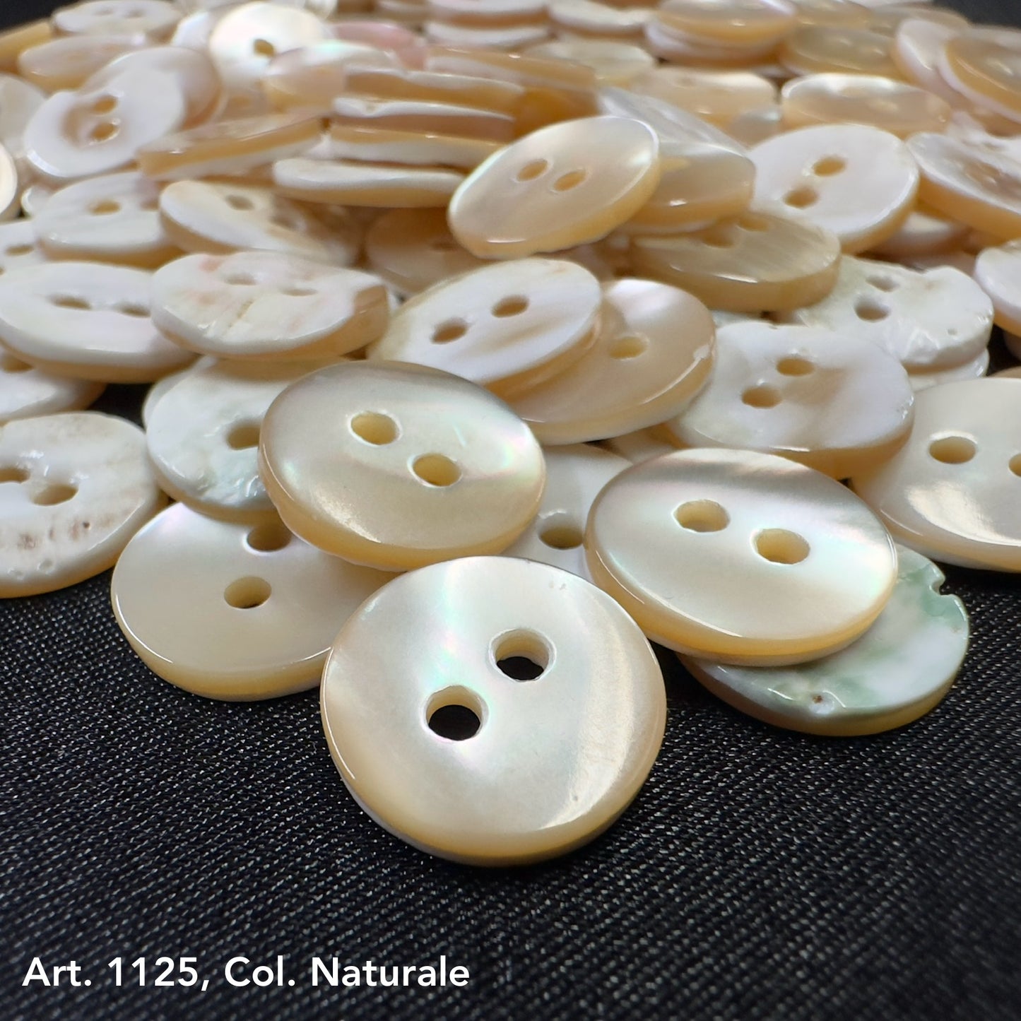 Shell buttons for sale by Buttonology Inc with natural cream color and two holes on black fabric