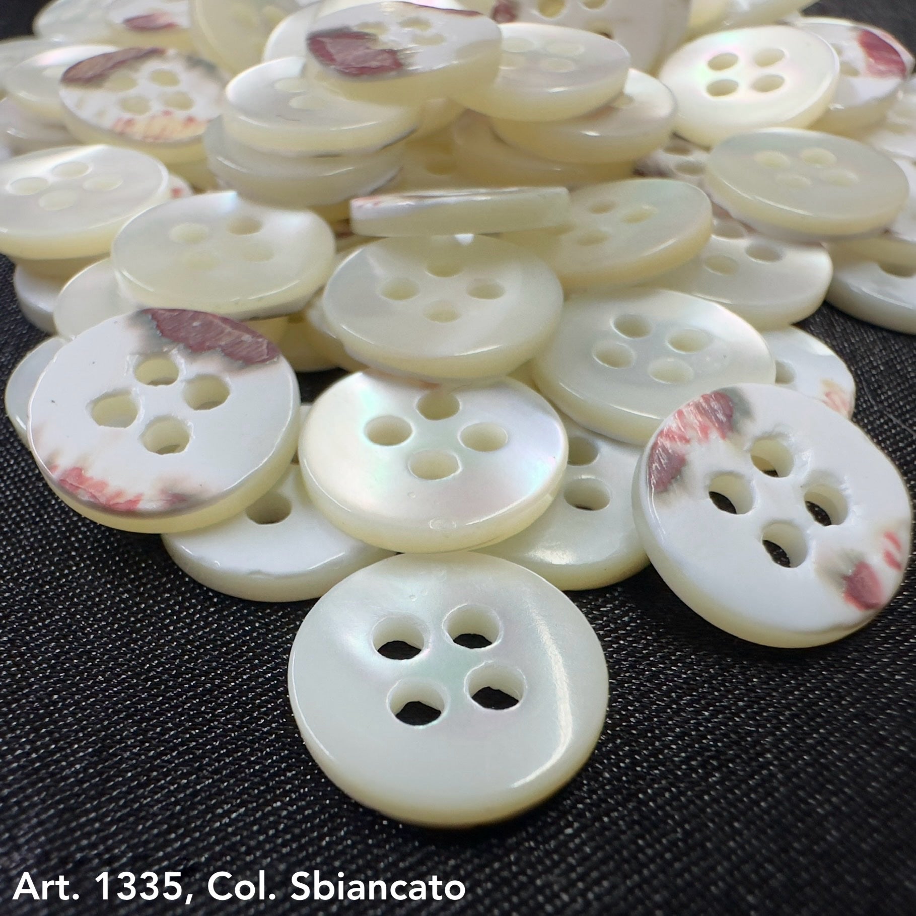 Shell buttons for sale four hole in white and cream shades with smooth glossy finish