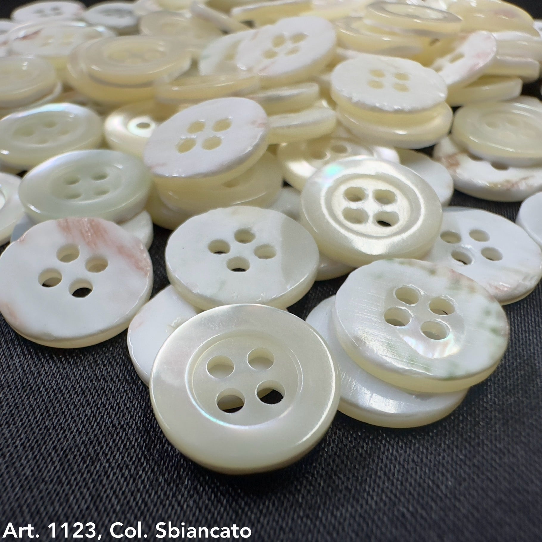 Troca shell buttons by Buttonology Inc with glossy white finish and four holes for sewing