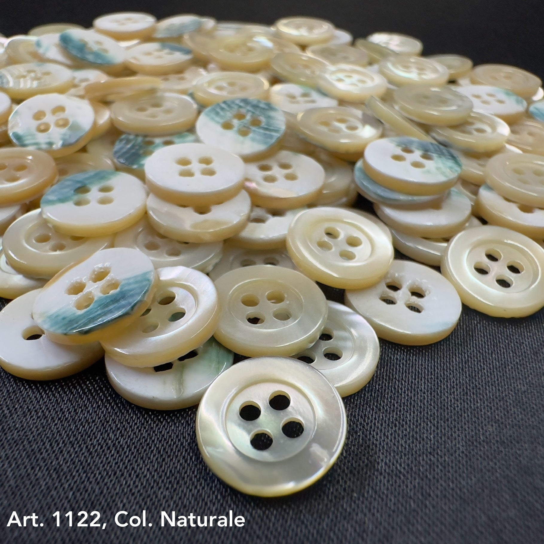 Troca shell buttons by Buttonology Inc with a natural color and glossy finish in a scattered arrangement