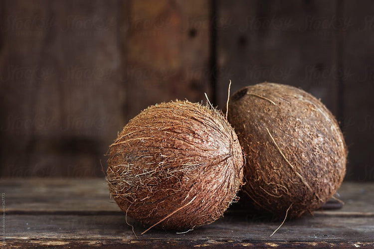 Two whole coconuts on a wooden surface representing coconut button wholesale collection