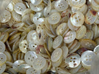 Assorted beige buttons with various imperfections on a white background