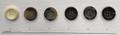 Variety of black 4-hole garment buttons displayed on a white background for sewing projects