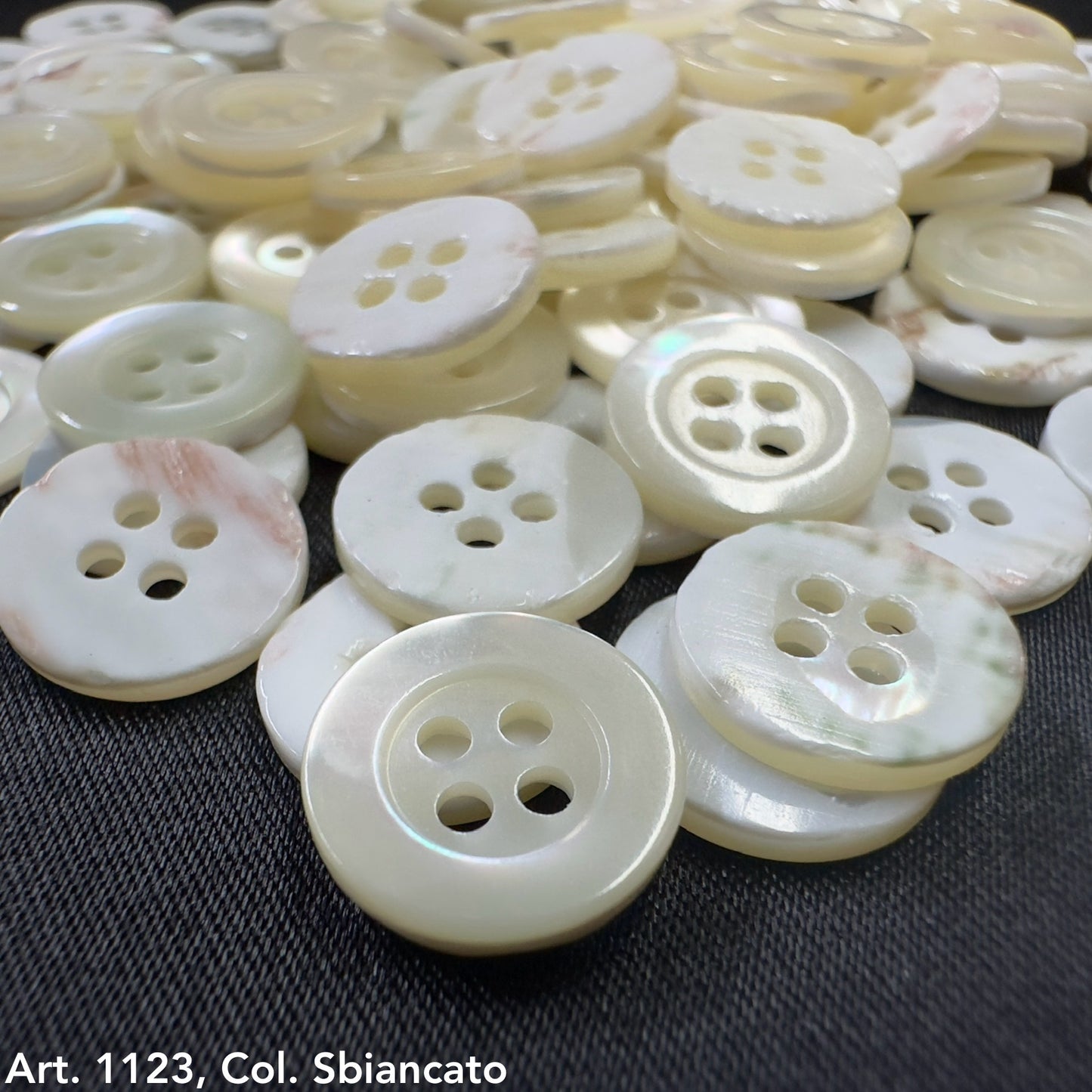 Troca shell buttons by Buttonology Inc with glossy white finish and four holes for sewing