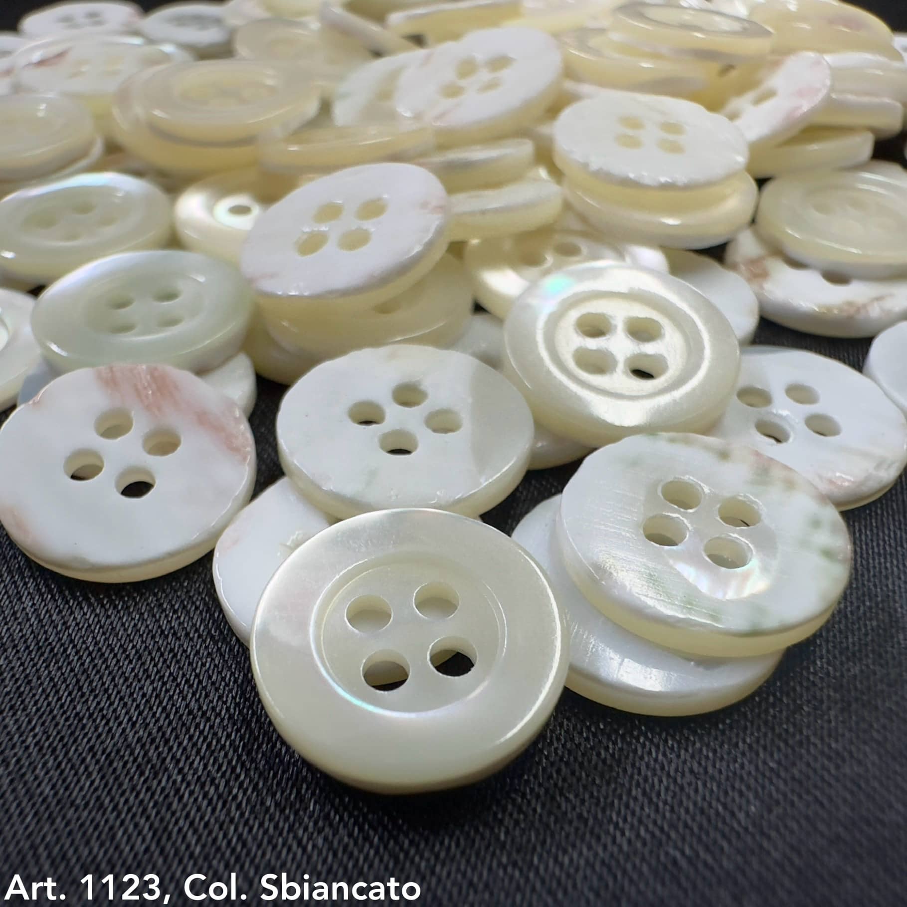 Close-up of white and cream Troca shell buttons with four holes from Buttonology Inc.